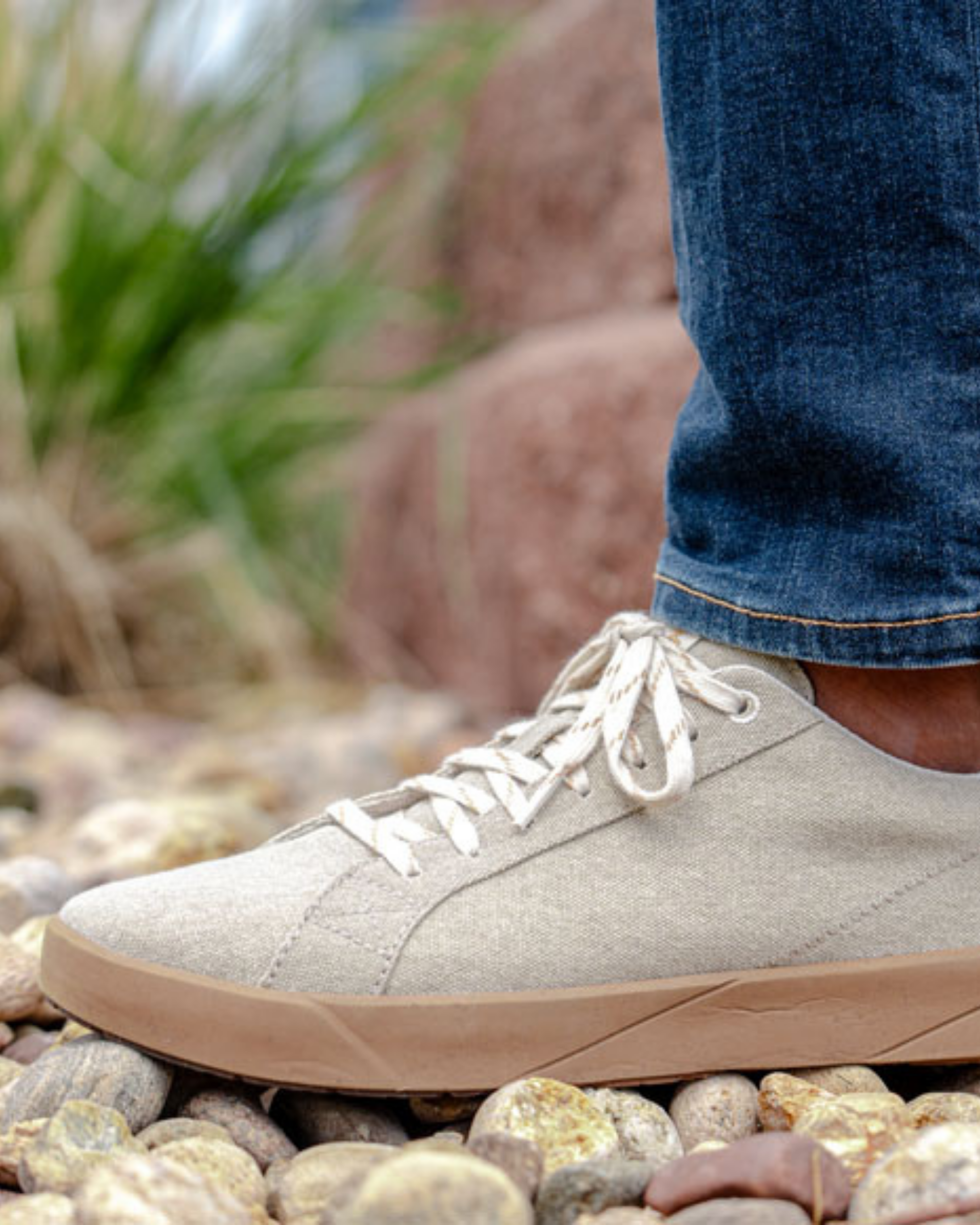 Cannon Canvas M 2.0 Dune - SAOLA EUROPE © 2024